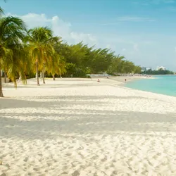 Grand Cayman & Bimini Beach Club