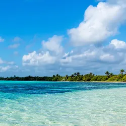 Mexico & Bimini Beach Club
