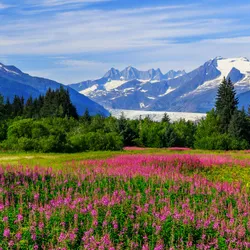 Alaska: Vancouver to Seattle