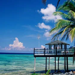Western Caribbean & Bimini Beach Club