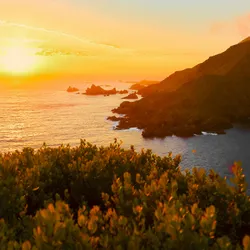 California Coast & Mexico